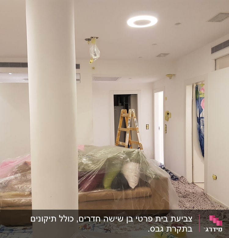 סולם, יריעות פלסטיק, דלי צבע, קירות לבנים